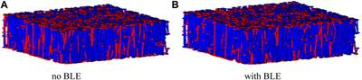 Research on Boundary Layer Effect in Fractured Reservoirs Based on Pore-Scale Models